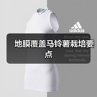 地膜覆盖马铃薯栽培要点(图3) 地膜覆盖马铃薯栽培要点(图3)