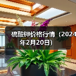 硫酸钾价格行情(2024年2月20日)(图4) 硫酸钾价格行情(2024年2月20日)(图4)