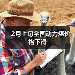 2月上旬全国动力煤价格下滑(图2) 2月上旬全国动力煤价格下滑(图2)