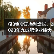 仅3家实现净利增长，2023年九成肥企业绩大滑坡！（图1）
