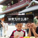 尿素为什么涨?(图4) 尿素为什么涨?(图4)