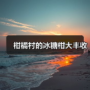 柑橘村的冰糖柑大丰收（图2）