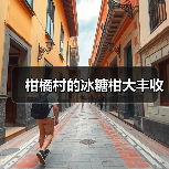 柑橘村的冰糖柑大丰收（图1）