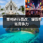 重庆云集镇冰糖柑嫁接改良助农增收-绿源新宇生物有机肥官网 重庆云集镇冰糖柑嫁接改良助农增收-绿源新宇生物有机肥官网