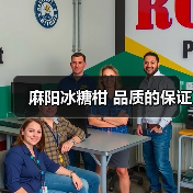 湖南麻阳冰糖柑品质优,市场供不应求引商家抢购-绿源新宇生物有 湖南麻阳冰糖柑品质优,市场供不应求引商家抢购-绿源新宇生物有