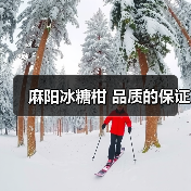 麻阳冰糖柑 品质的保证(图2) 麻阳冰糖柑 品质的保证(图2)