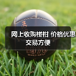 网上收购椪柑 价格优惠交易方便（图1）