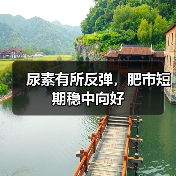 尿素有所反弹，肥市短期稳中向好（图4）