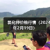 氯化钾价格行情(2024年2月19日)(图1) 氯化钾价格行情(2024年2月19日)(图1)