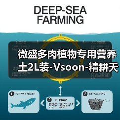 微盛多肉植物专用营养土2L装-Vsoon-精耕天下(图3) 微盛多肉植物专用营养土2L装-Vsoon-精耕天下(图3)