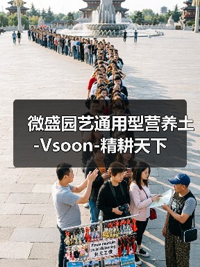 微盛园艺通用型营养土-Vsoon-精耕天下(图3) 微盛园艺通用型营养土-Vsoon-精耕天下(图3)
