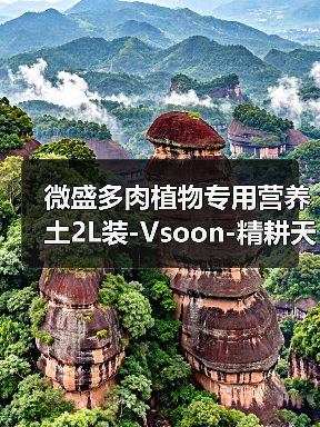 微盛多肉植物专用营养土2L装-Vsoon-精耕天下(图4) 微盛多肉植物专用营养土2L装-Vsoon-精耕天下(图4)