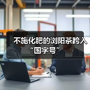 不施化肥的浏阳茶跨入“国字号”（图1）