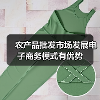 农产品批发市场发展电子商务模式有优势（图4）