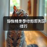 猕猴桃冬季修剪原则及技巧(图2) 猕猴桃冬季修剪原则及技巧(图2)