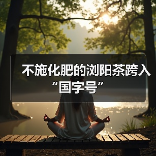 不施化肥的浏阳茶跨入“国字号”（图3）