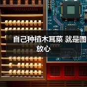 自己种植木耳菜 就是图放心（图2）