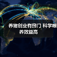 养猪创业有窍门 科学喂养效益高（图4）