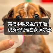 青岛中肽又发汽车啦!祝贺燕经理喜获沃尔沃S90(图3) 青岛中肽又发汽车啦!祝贺燕经理喜获沃尔沃S90(图3)