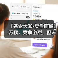 【名企大咖·复盘前瞻】万鹏：竞争激烈，但未来可期（图2）