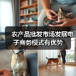农产品批发市场发展电子商务模式有优势（图3）