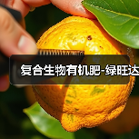 复合生物有机肥-绿旺达(图3) 复合生物有机肥-绿旺达(图3)