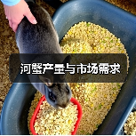 河蟹产量与市场需求（图2）