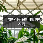 供需不同使得河蟹价格不同（图4）