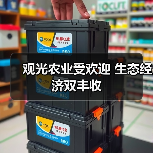 观光农业受欢迎 生态经济双丰收（图1）
