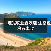 观光农业受欢迎 生态经济双丰收（图2）