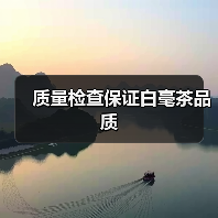 质量检查保证白毫茶品质（图4）