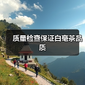质量检查保证白毫茶品质（图3）
