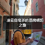 凌云白毫茶的品牌崛起之路(图1) 凌云白毫茶的品牌崛起之路(图1)