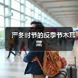 严冬时节的反季节木耳菜(图4) 严冬时节的反季节木耳菜(图4)