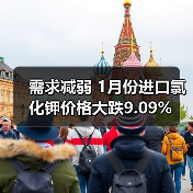 需求减弱 1月份进口氯化钾价格大跌9.09%(图3) 需求减弱 1月份进口氯化钾价格大跌9.09%(图3)
