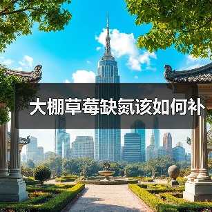 大棚草莓缺氮该如何补(图2) 大棚草莓缺氮该如何补(图2)