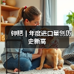 钾肥 | 年度进口量创历史新高(图3) 钾肥 | 年度进口量创历史新高(图3)