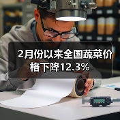 2月份以来全国蔬菜价格下降12.3%(图4) 2月份以来全国蔬菜价格下降12.3%(图4)