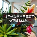 2月份以来全国蔬菜价格下降12.3%(图2) 2月份以来全国蔬菜价格下降12.3%(图2)