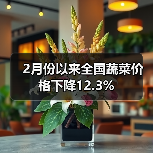 2月份以来全国蔬菜价格下降12.3%(图3) 2月份以来全国蔬菜价格下降12.3%(图3)