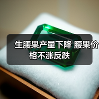 生腰果产量下降 腰果价格不涨反跌(图3) 生腰果产量下降 腰果价格不涨反跌(图3)