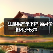 生腰果产量下降 腰果价格不涨反跌(图2) 生腰果产量下降 腰果价格不涨反跌(图2)