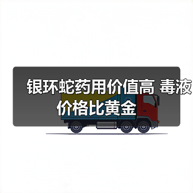 银环蛇药用价值高 毒液价格比黄金(图4) 银环蛇药用价值高 毒液价格比黄金(图4)