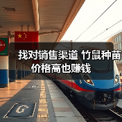 找对销售渠道 竹鼠种苗价格高也赚钱(图3) 找对销售渠道 竹鼠种苗价格高也赚钱(图3)