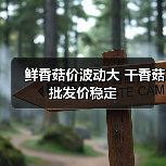 鲜香菇价波动大 干香菇批发价稳定(图2) 鲜香菇价波动大 干香菇批发价稳定(图2)