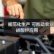 规范化生产 可推动农业硝酸钾应用（图2）