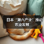 日本“第六产业”推动农业发展(图1) 日本“第六产业”推动农业发展(图1)