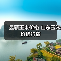 最新玉米价格 山东玉米价格行情(图4) 最新玉米价格 山东玉米价格行情(图4)