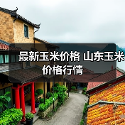 最新玉米价格 山东玉米价格行情(图1) 最新玉米价格 山东玉米价格行情(图1)