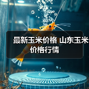 最新玉米价格 山东玉米价格行情(图3) 最新玉米价格 山东玉米价格行情(图3)